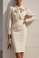 Bow Neck Long Sleeve Waisted Midi Dress for Office