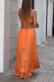 Halter Neck Backless Maxi Dress – Sleeveless Vacation Wear