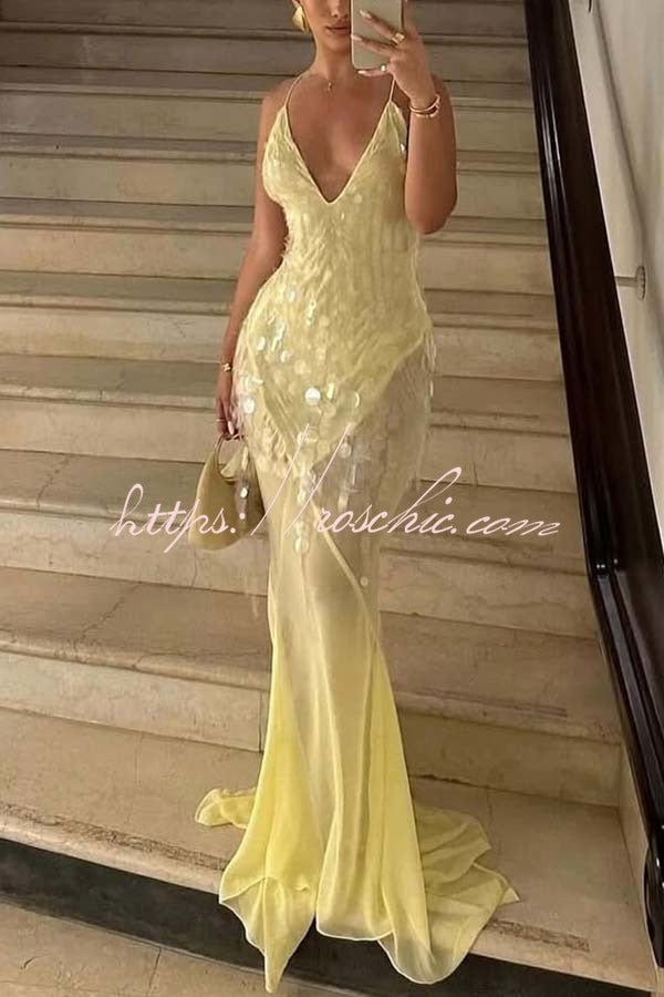 Sequin Embroidered Backless Slip Maxi Dress with Tulle Hem