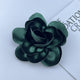 Blackish Green