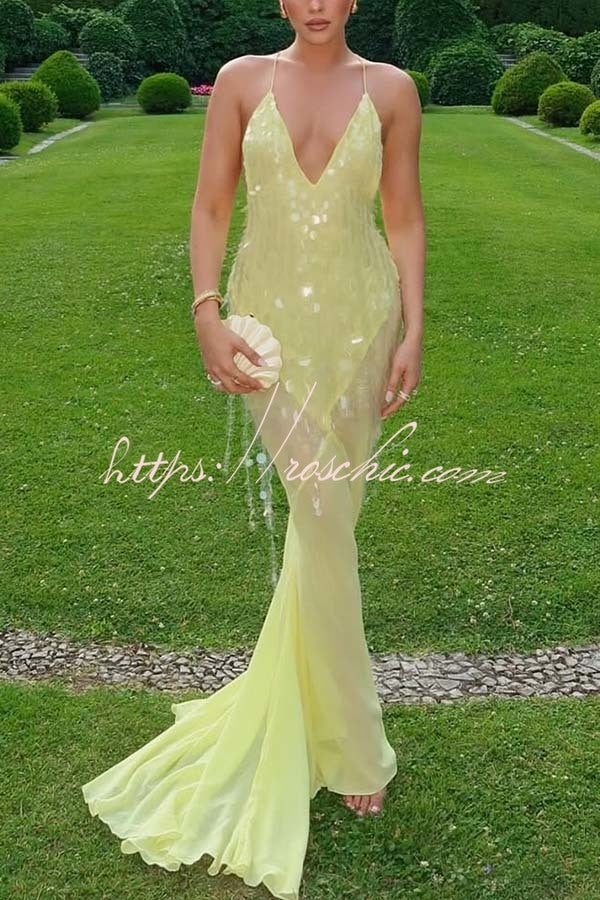 Sequin Embroidered Backless Slip Maxi Dress with Tulle Hem