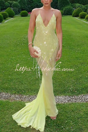 Sequin Embroidered Backless Slip Maxi Dress with Tulle Hem