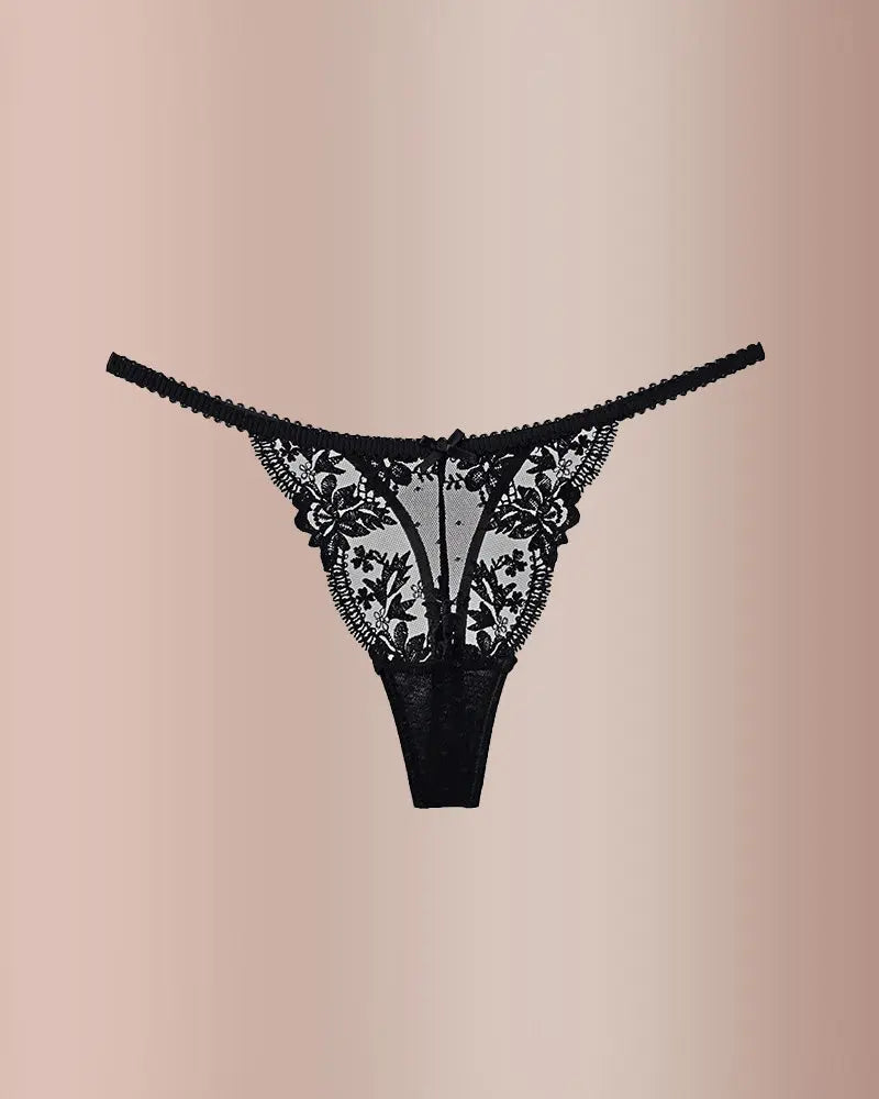French Embroidered Sheer Lace Thong Panties