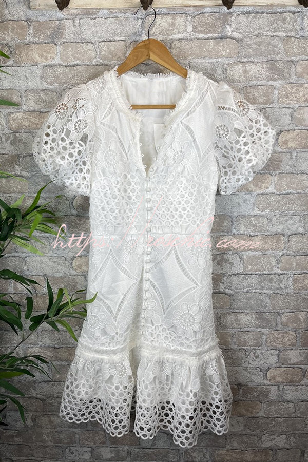 Crochet Lace Puff Sleeve Button-Up Mini Dress
