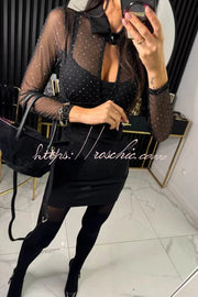 Glitter Mesh Cutout Long Sleeve Stretch Mini Dress