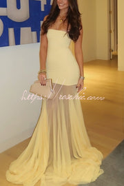Off-Shoulder Mesh Panel Sleeveless Fitted Maxi Dress