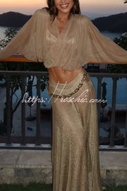 Metallic Knit Long Sleeve Crop Top and Maxi Skirt Set