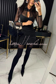 Glitter Mesh Cutout Long Sleeve Stretch Mini Dress
