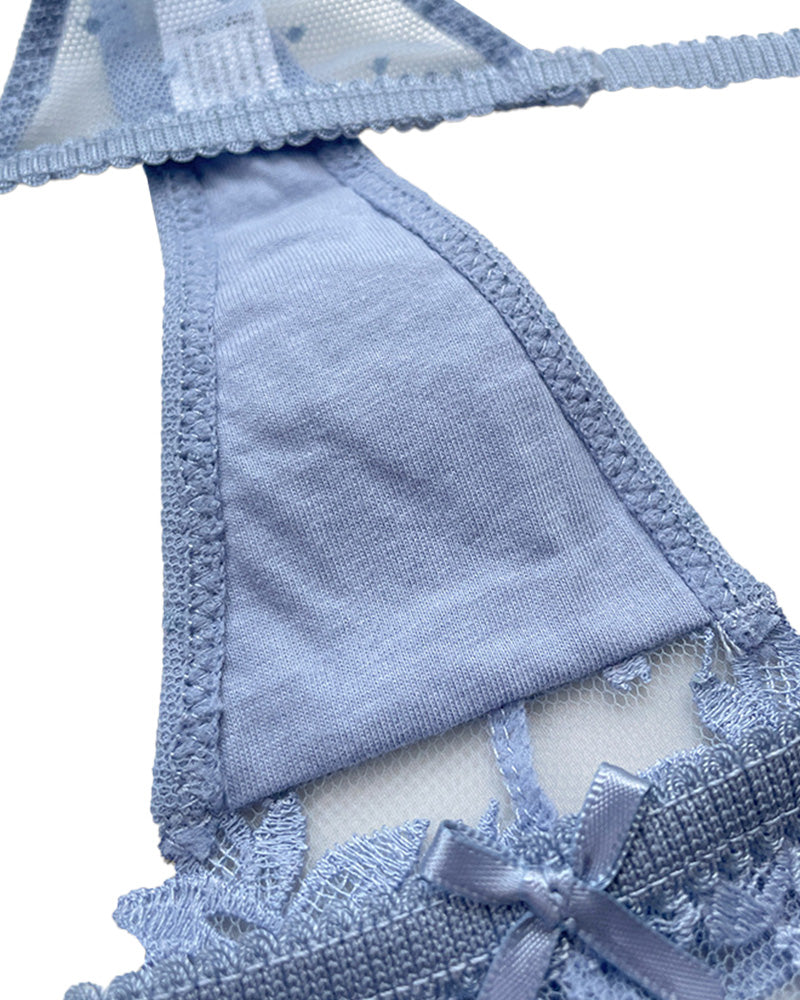 French Embroidered Sheer Lace Thong