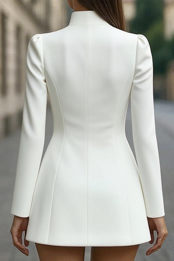 Stand Collar Long Sleeve Slim Fit Mini Dress – Office Wear