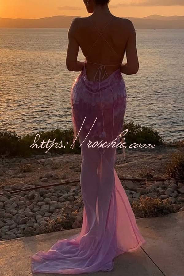 Sequin Embroidered Backless Slip Maxi Dress with Tulle Hem