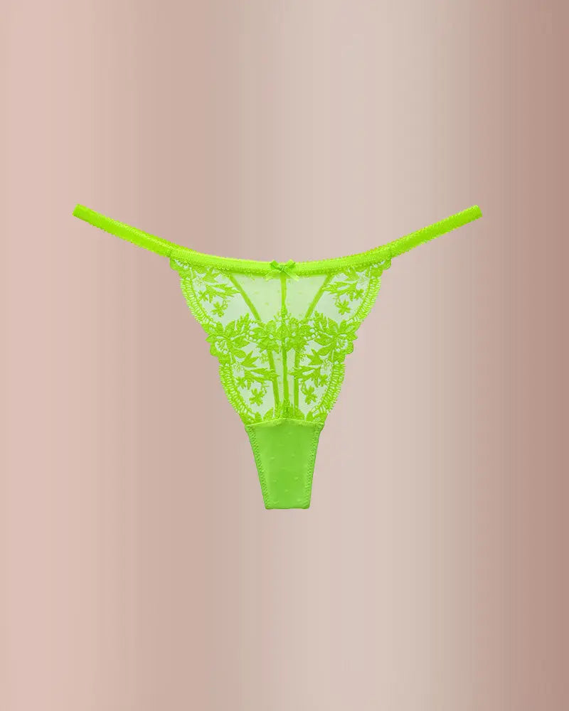 French Embroidered Sheer Lace Thong Panties