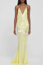 Sequin Embroidered Backless Slip Maxi Dress with Tulle Hem