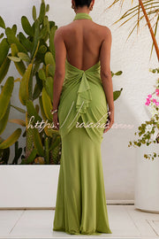 One Shoulder Mesh Maxi Dress with Butterfly Metal Clips