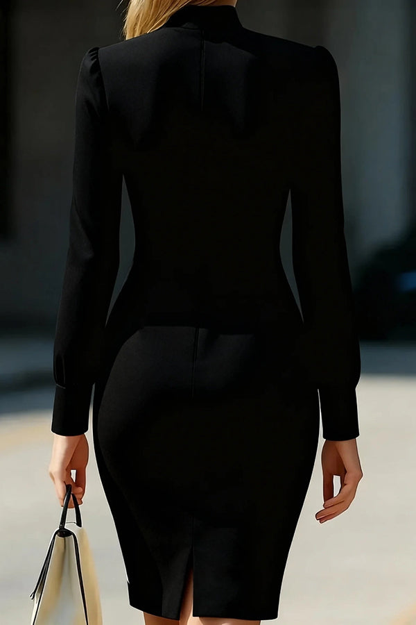 High Neck Long Sleeve Slim Fit Mini Dress