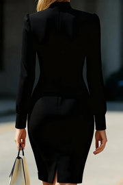 High Neck Long Sleeve Slim Fit Mini Dress