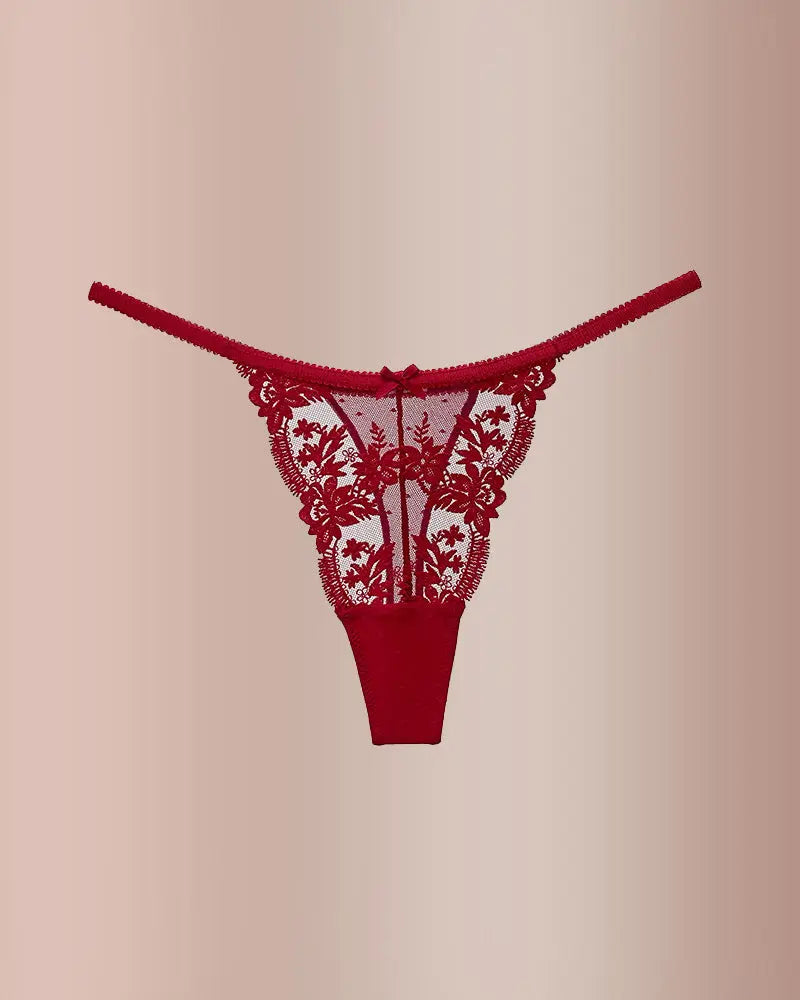 French Embroidered Sheer Lace Thong Panties
