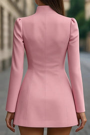 Stand Collar Long Sleeve Slim Fit Mini Dress – Office Wear