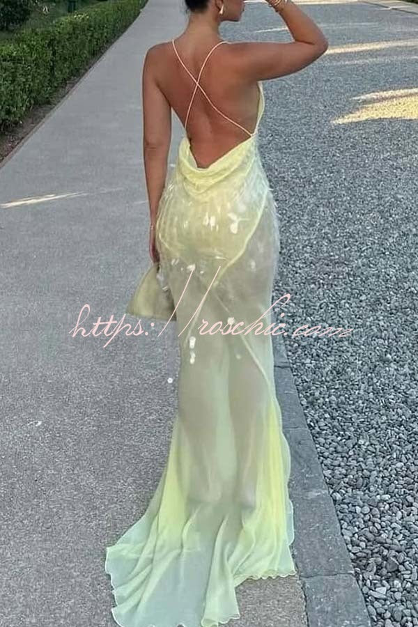Sequin Embroidered Backless Slip Maxi Dress with Tulle Hem