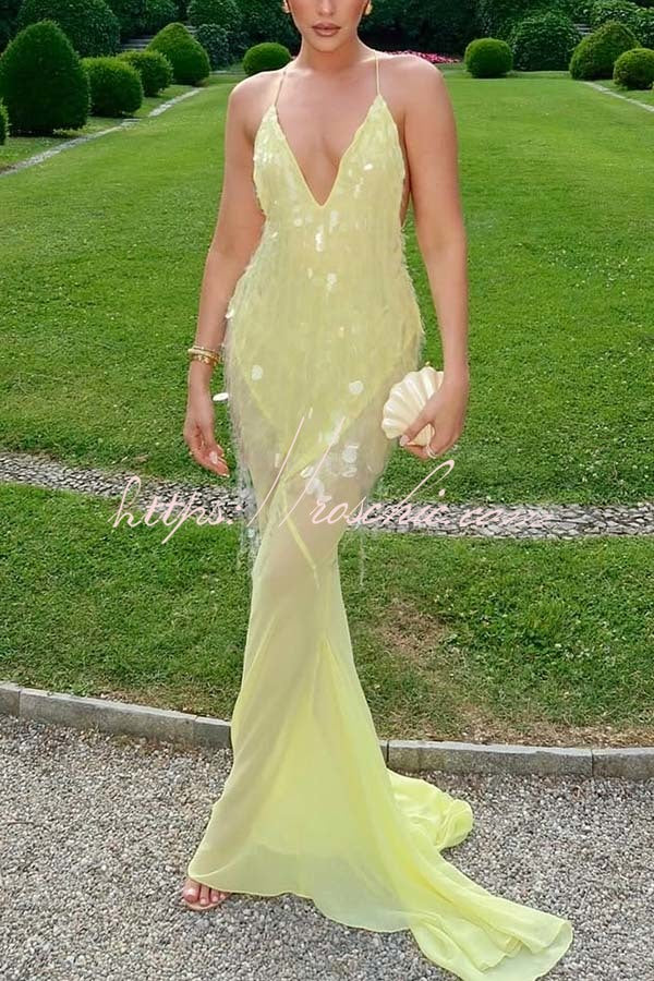 Robe longue dos nu brodée de sequins avec ourlet en tulle
